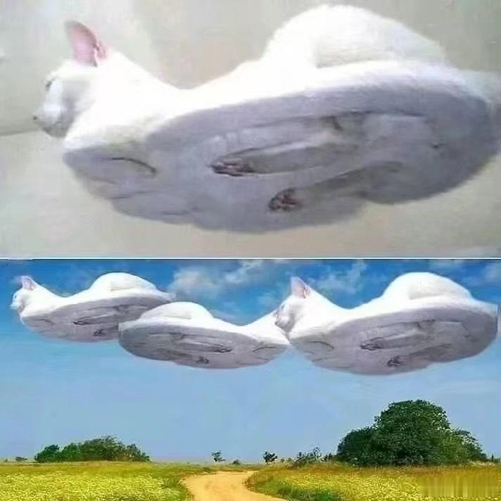 笑死了 