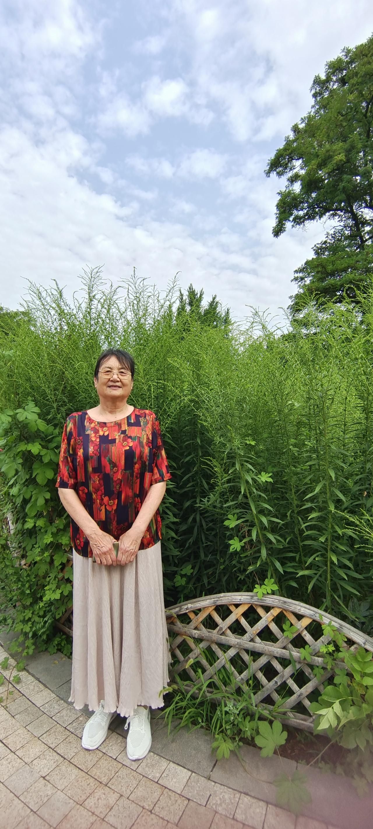我认为喜欢
风情万种过夏天，
花红柳绿草丛间。
牡丹园中音乐声，
老年生活夕阳红