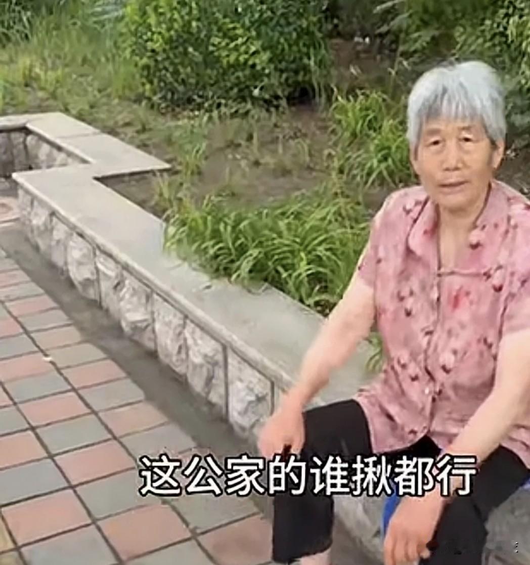 天津大妈豪横！6月16日天津网友视频，一大妈误认为“景观萱草”是“黄花”，她揪了