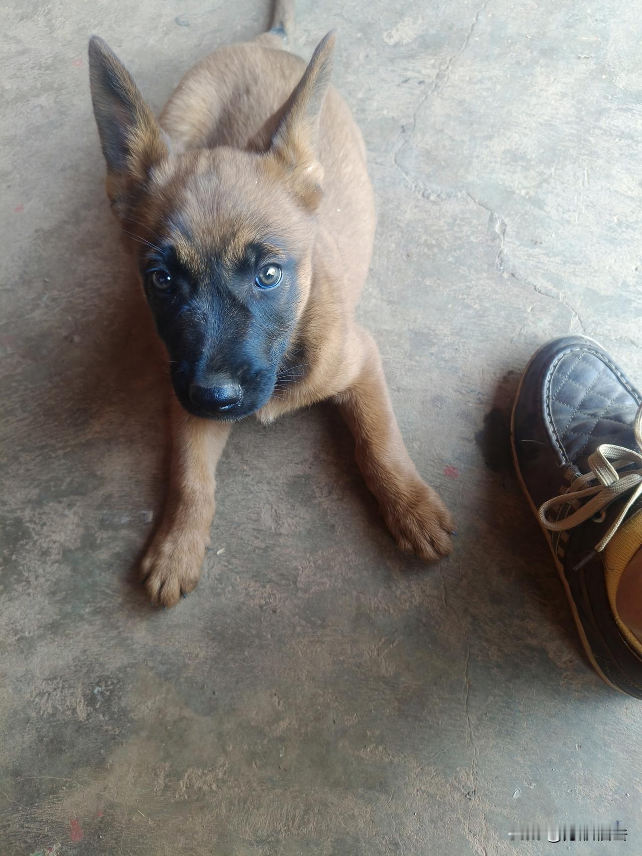 当今时代，似乎各行各业都压力大，以前学生压力大轻生的消息不少见，而今日我家旁边的