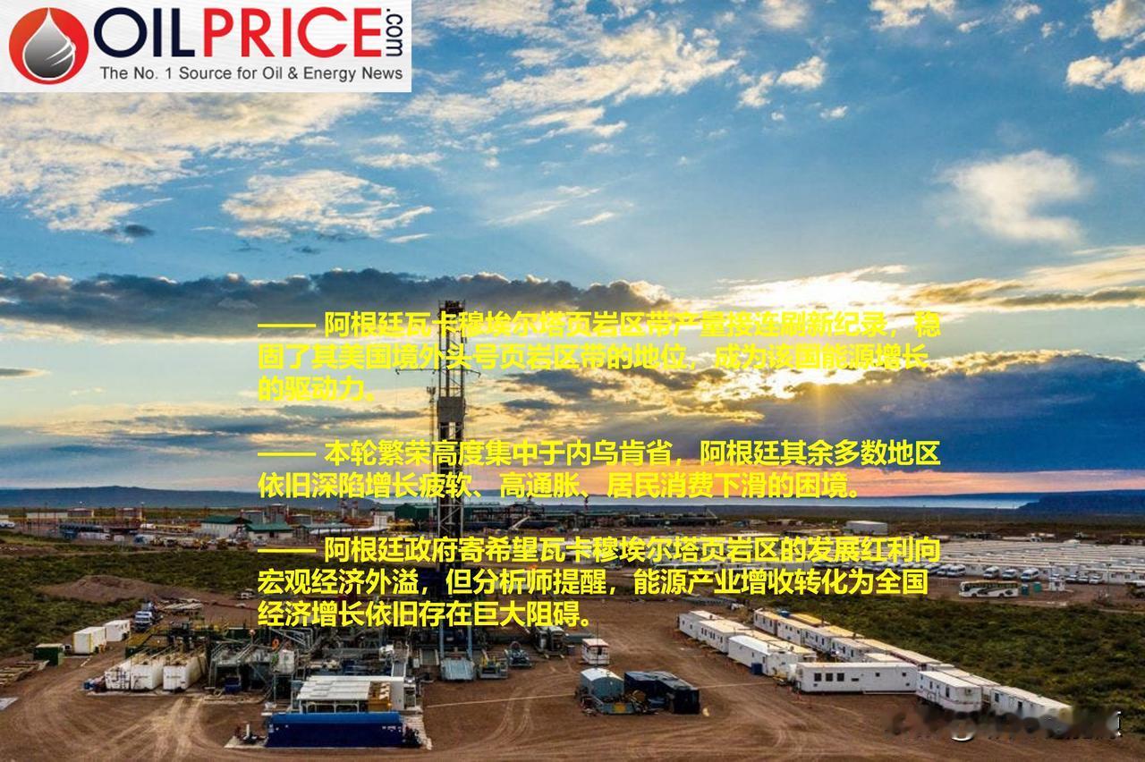 瓦卡穆埃尔塔页岩区产量屡创新高，但依旧无法提振阿根廷的整体经济


阿根廷瓦卡穆