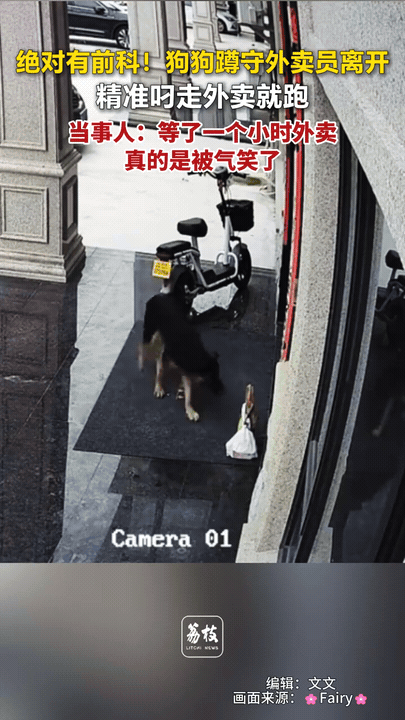 监控拍下搞笑一幕，这只狗狗一看就是“惯犯”！
外卖员把餐品放在门口，转身骑车离开