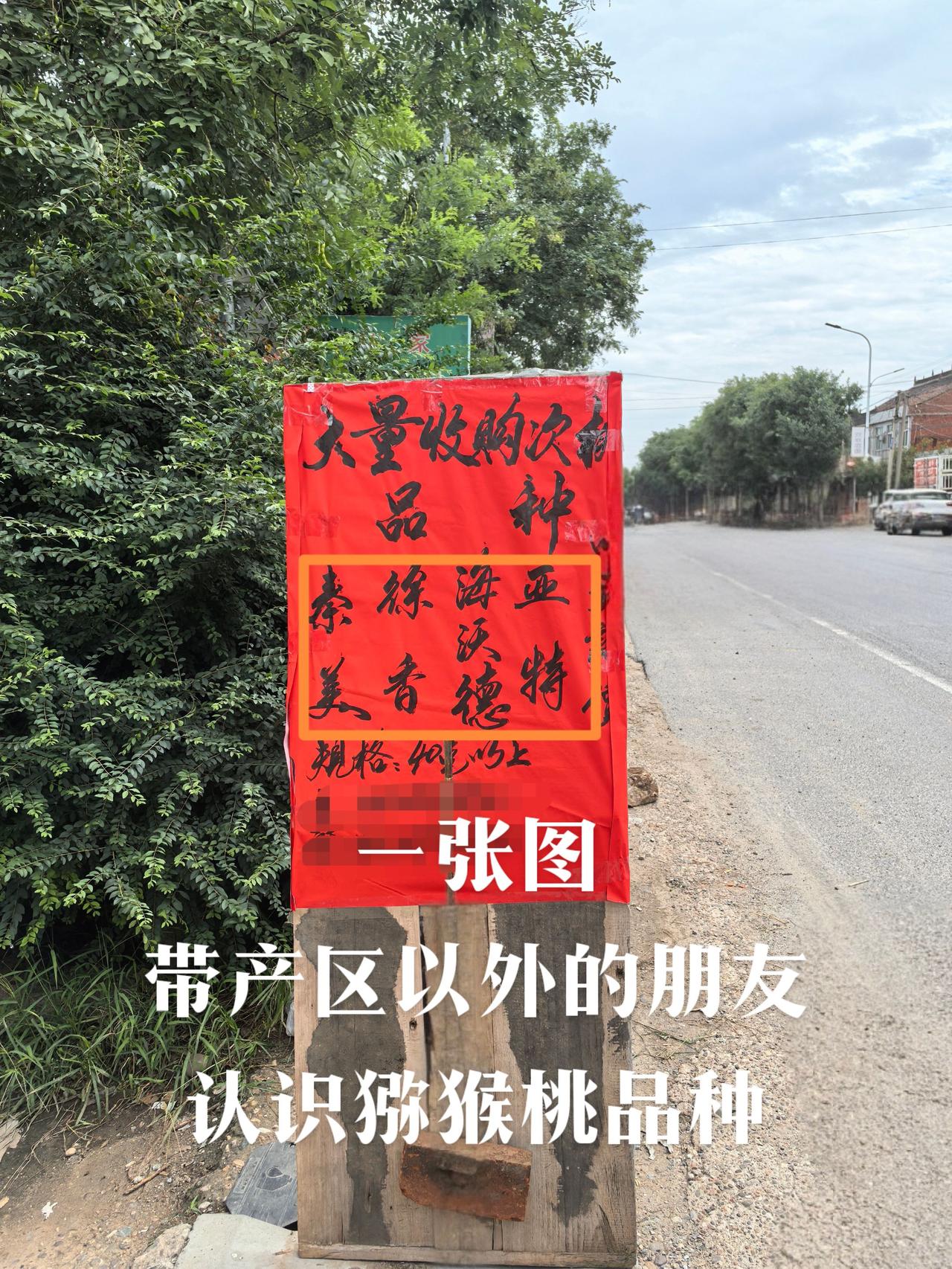 不来毛桃产区眉县
都不知道原来猕猴桃🥝有这么多品种
记录生活 大自然