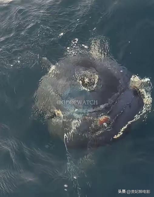 伊朗伊斯兰革命卫队海军在霍尔木兹海峡附近布设的1枚锚雷失控，飘到了阿曼海岸线附近