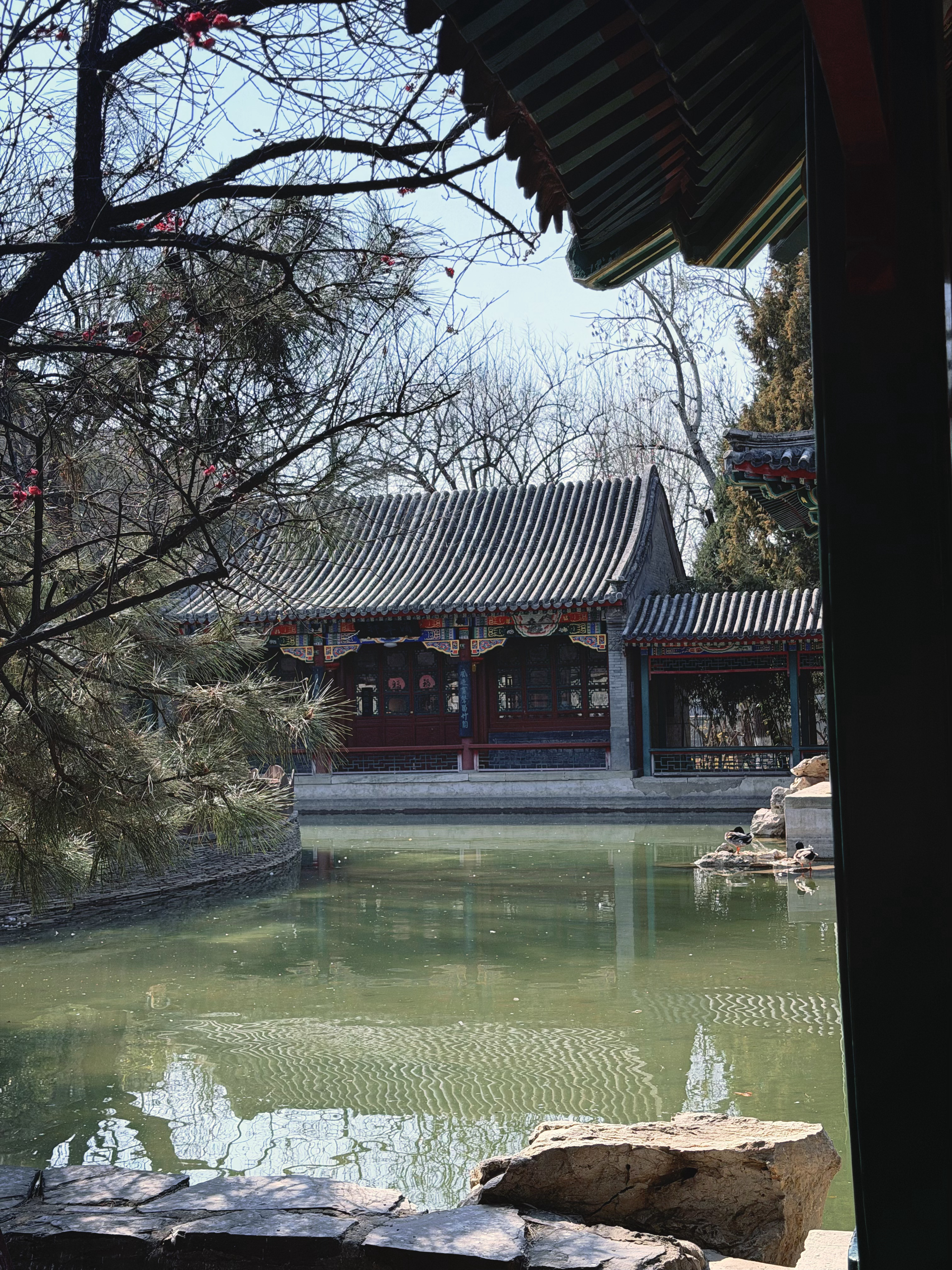 接火箭放学 来早了在附近公园待会儿，有种偷得浮生半日闲的感觉公园里都是晒太阳的老