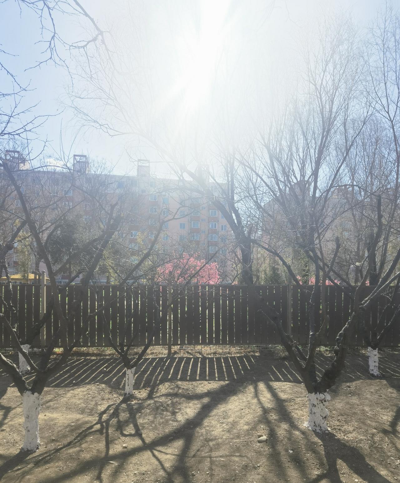 午盘印象(4月8日) 特朗普退缩 市场强反弹 

外围：美股震荡 谈判末端 外盘