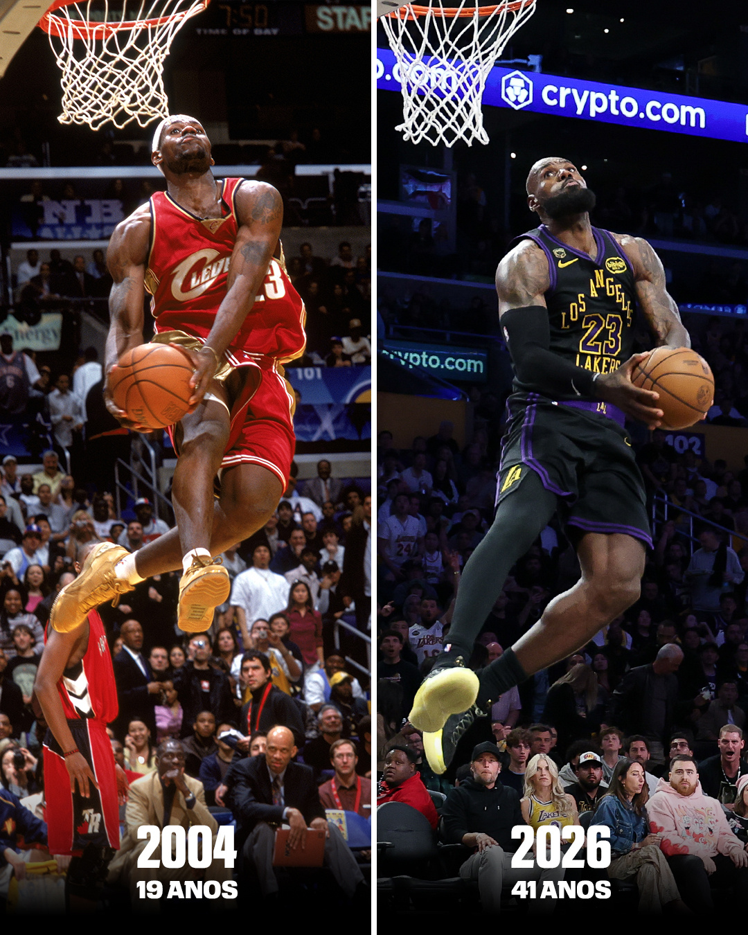 似曾相识燕归来 