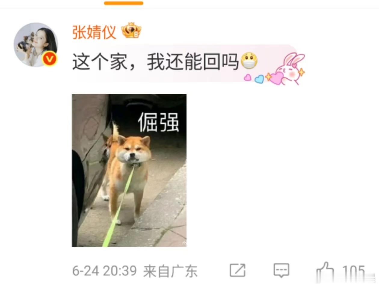 张婧仪表情包大户张婧仪倔强表情包张婧仪倔强表情包，哈哈哈，[心][心] ​​​