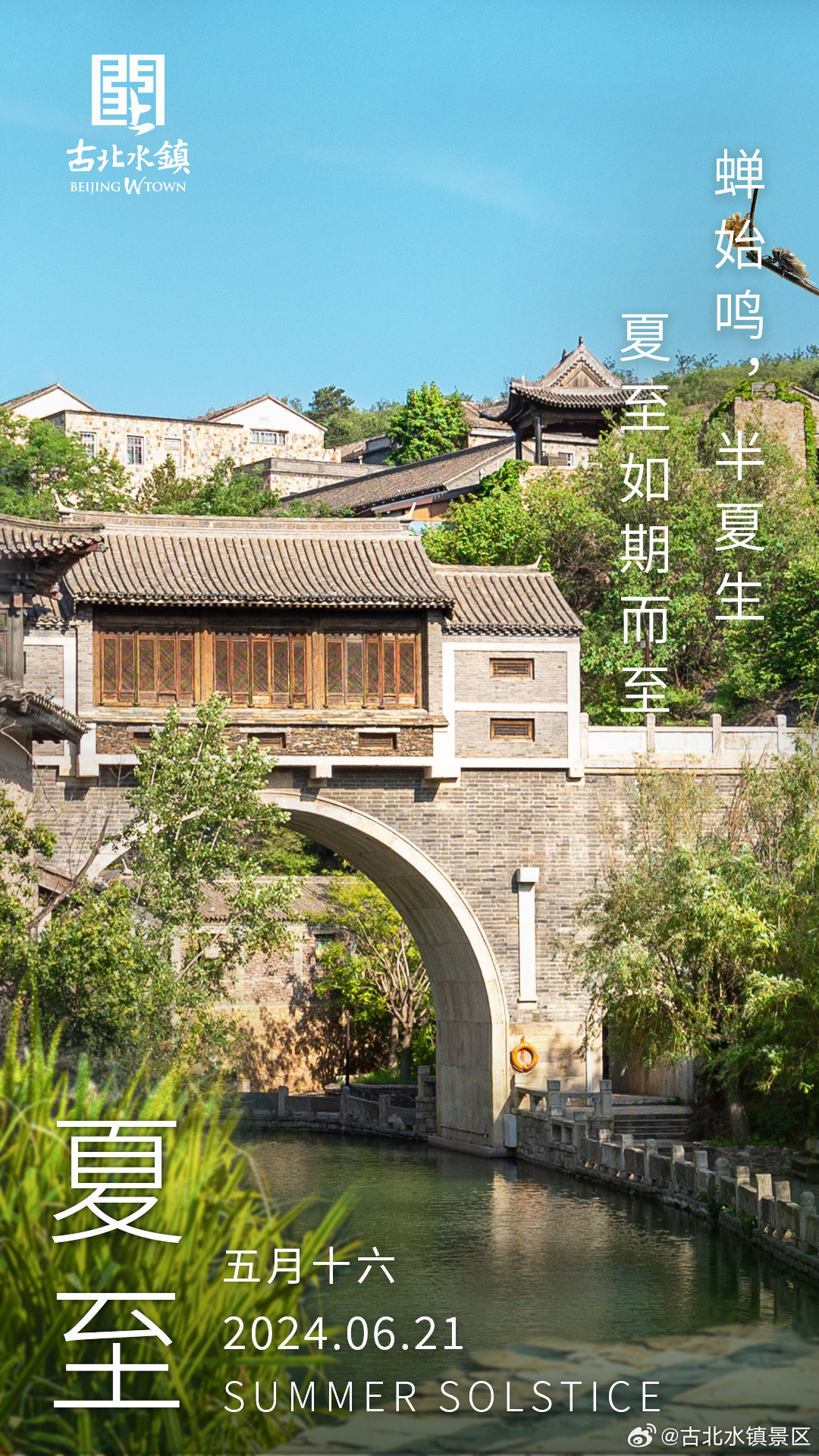 蝉始鸣，半夏生，夏至如期而至。早安，宝子们~#很高兴在古北水镇认识你# #古北水