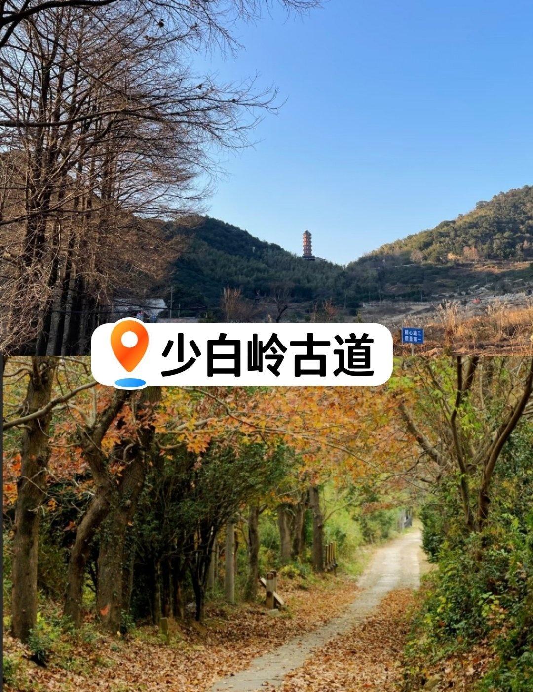 亲子友好的徒步环线—少白岭古道
📍宁波 少白岭古道
市区半小时内就能直达，全程