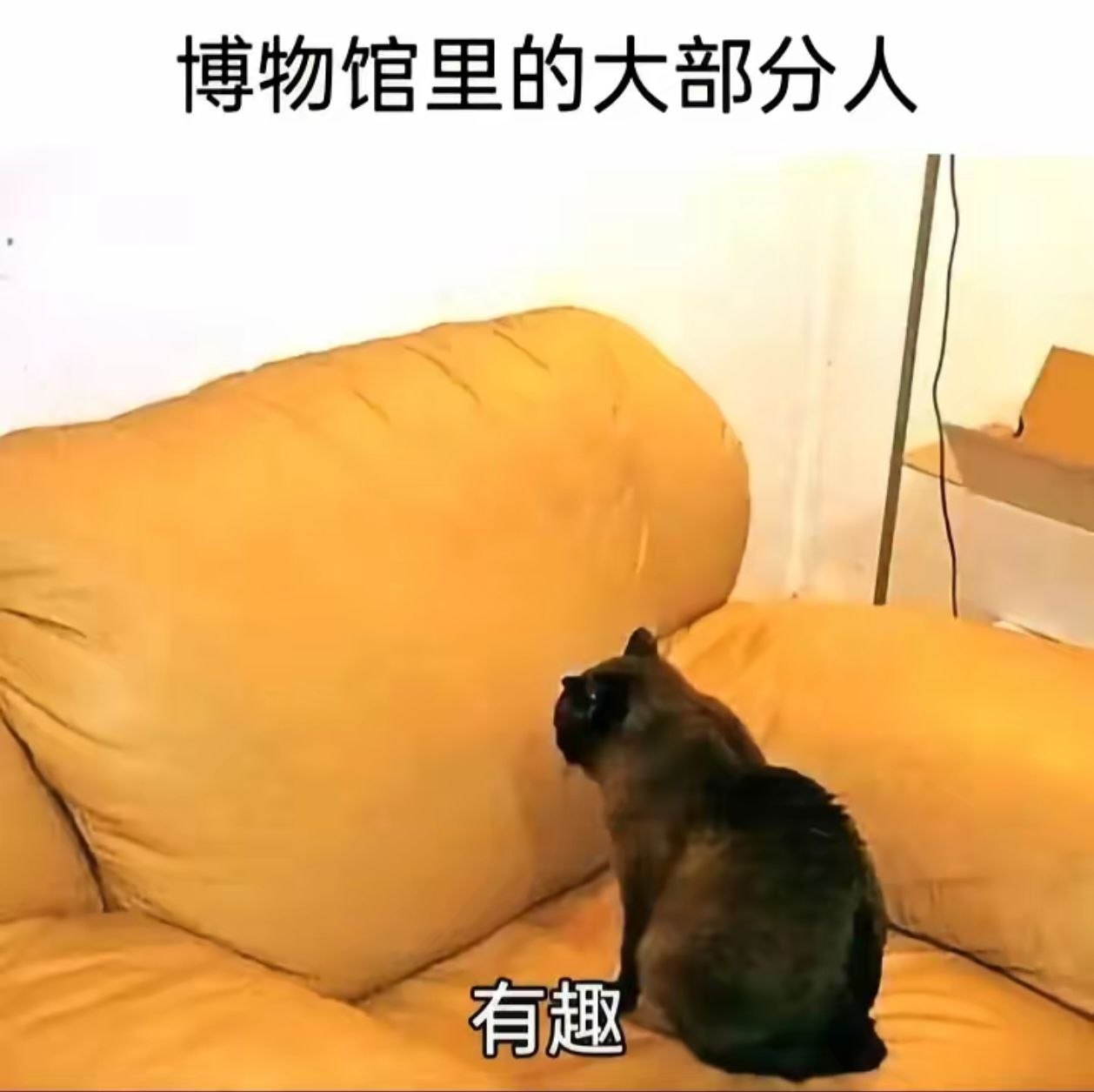 有趣 