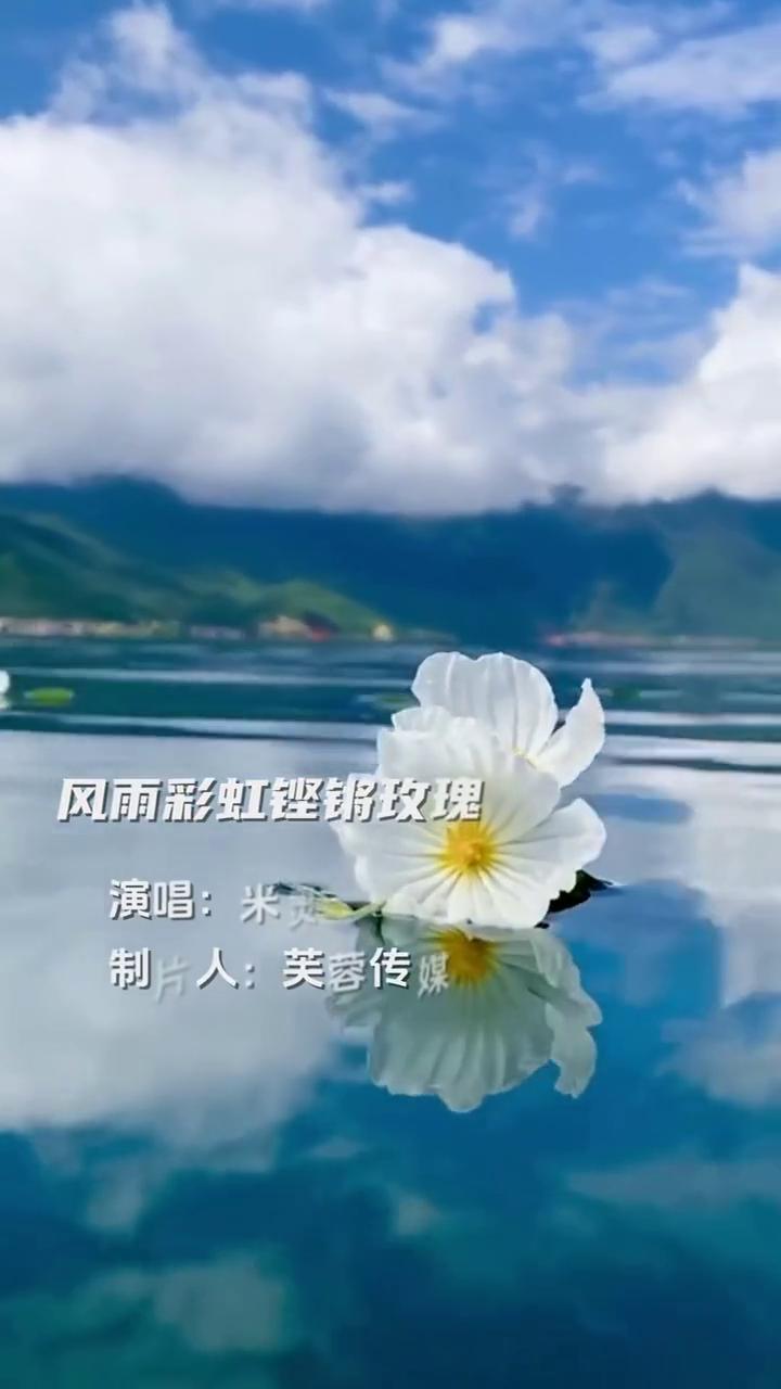 风雨彩虹铿锵玫瑰，演唱：米灵。
制片人：芙蓉传媒。
一切美好只是昨日沉醉，淡淡苦