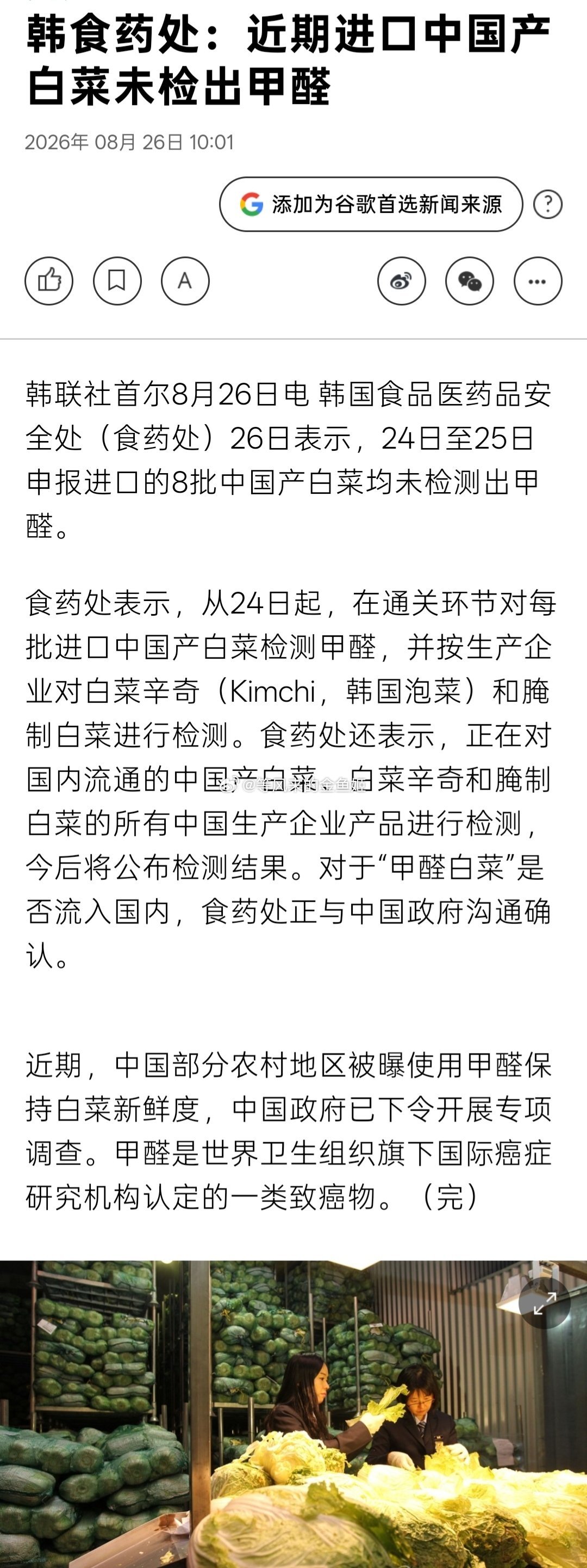 出口至韩国白菜未检出甲醛。[吃瓜] ​​​
