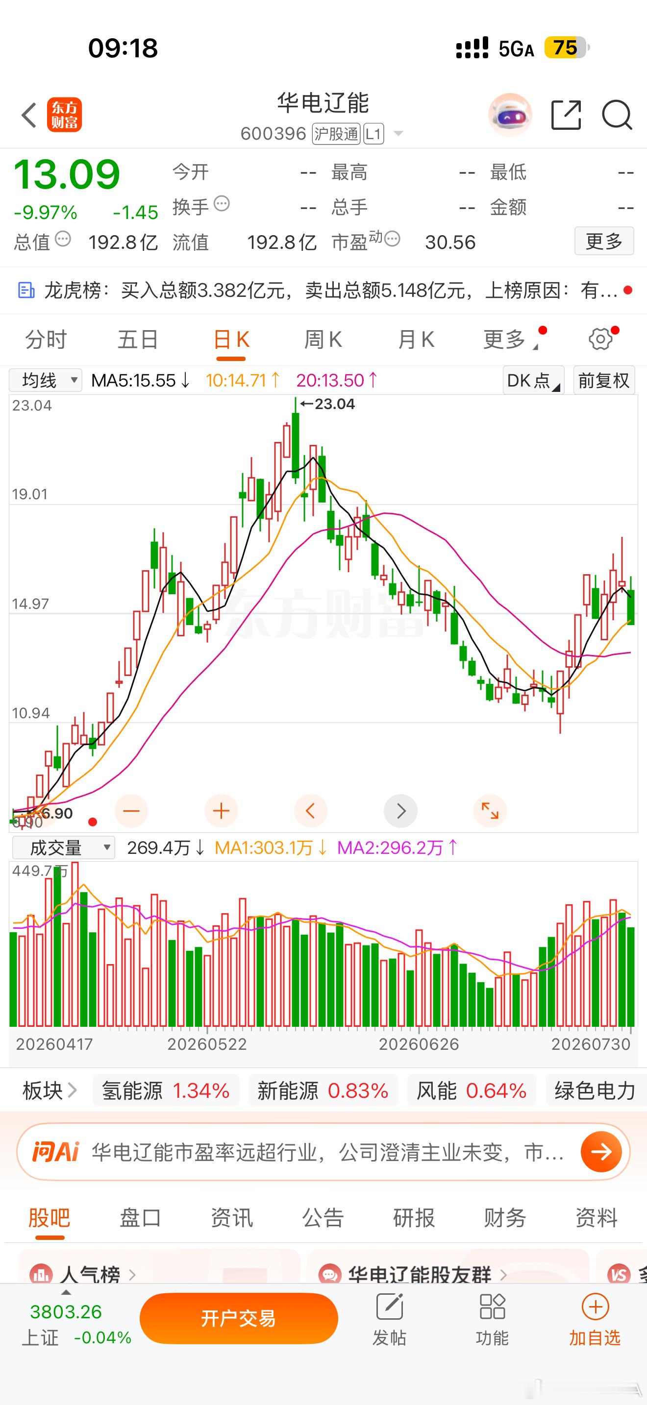 逢低关注，华电辽能 