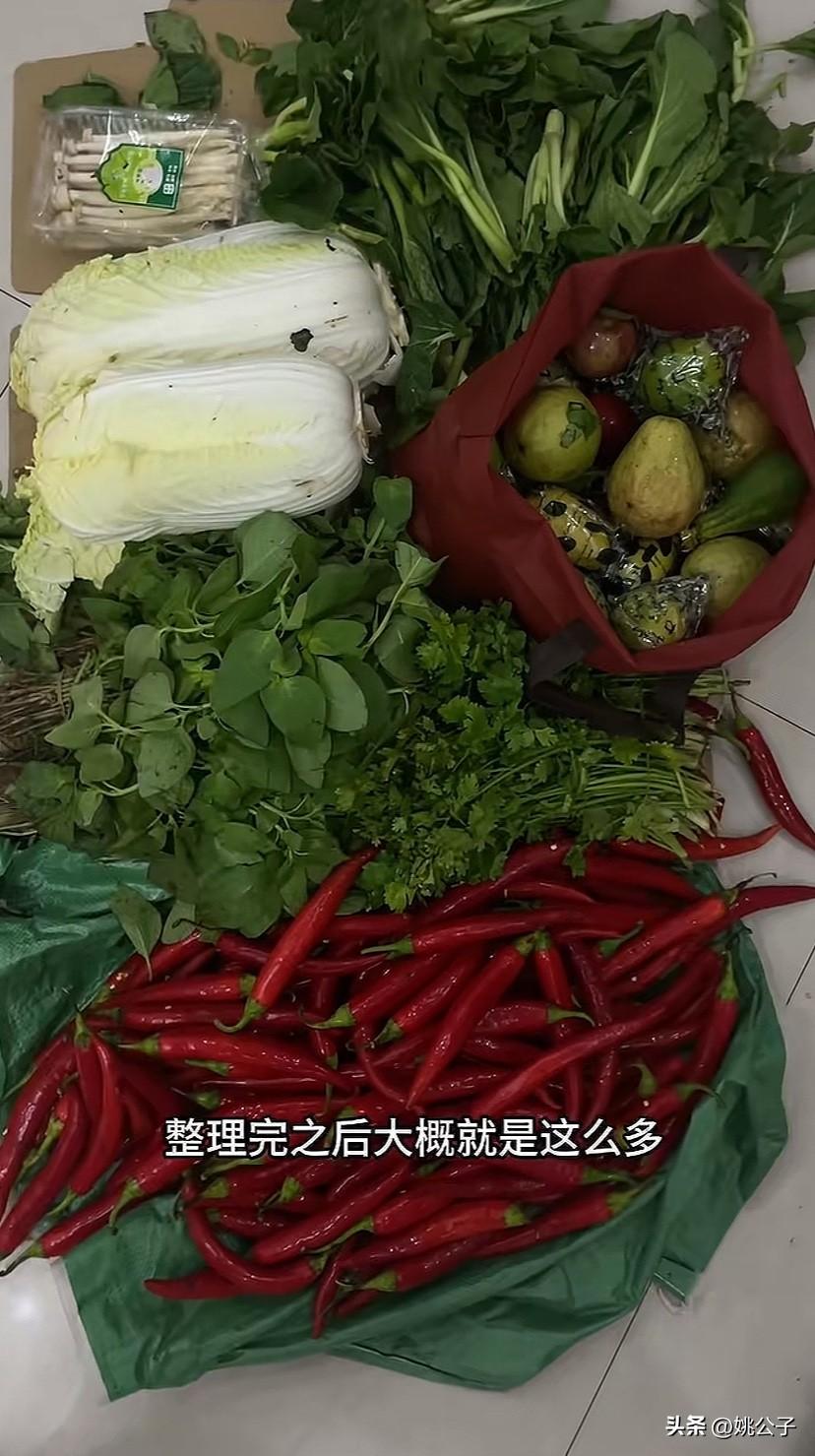 “0元吃大餐”被捡菜洗脑了，现在流行下班后去市场捡菜？最近天天刷到某00后博主捡