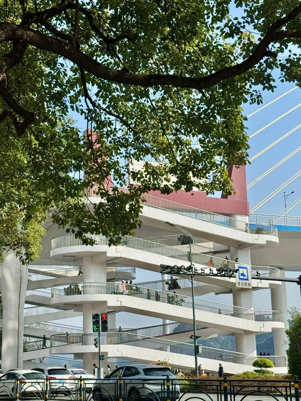 站桩要注意的几点
    站桩锻炼要注意以下几点：
    放下，站桩锻炼的起式