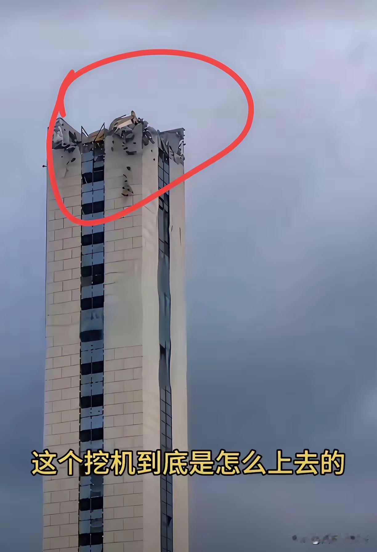 我就纳闷了，
这么大一个家伙，
它是怎么上去的。