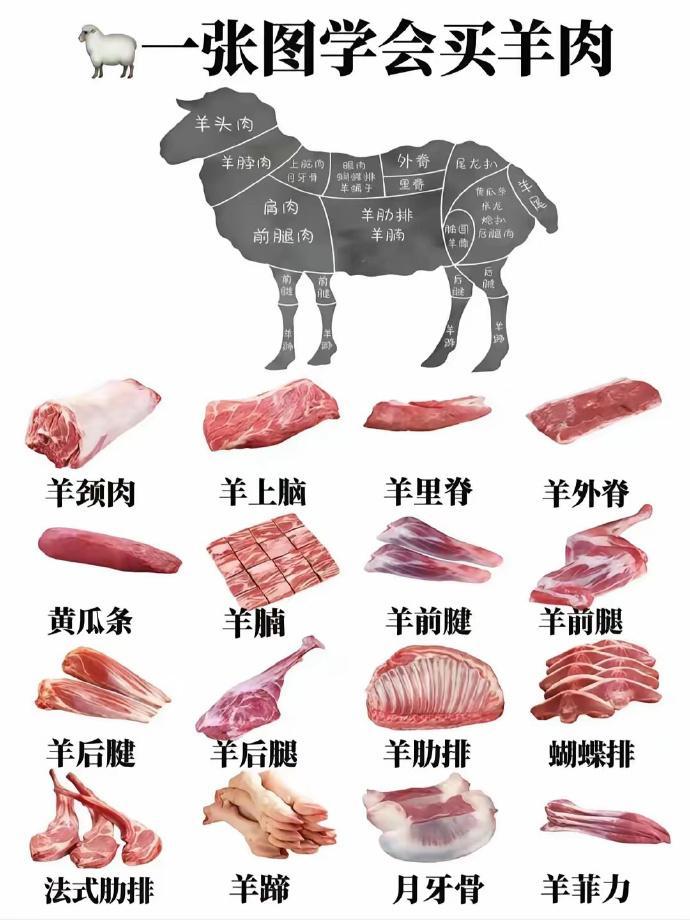 不会挑羊肉，看看这几张图  