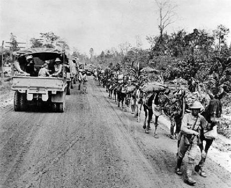 滇缅公路：血染野人山的英雄史诗

在中国抗日战争的漫长岁月中，滇缅公路作为连接中