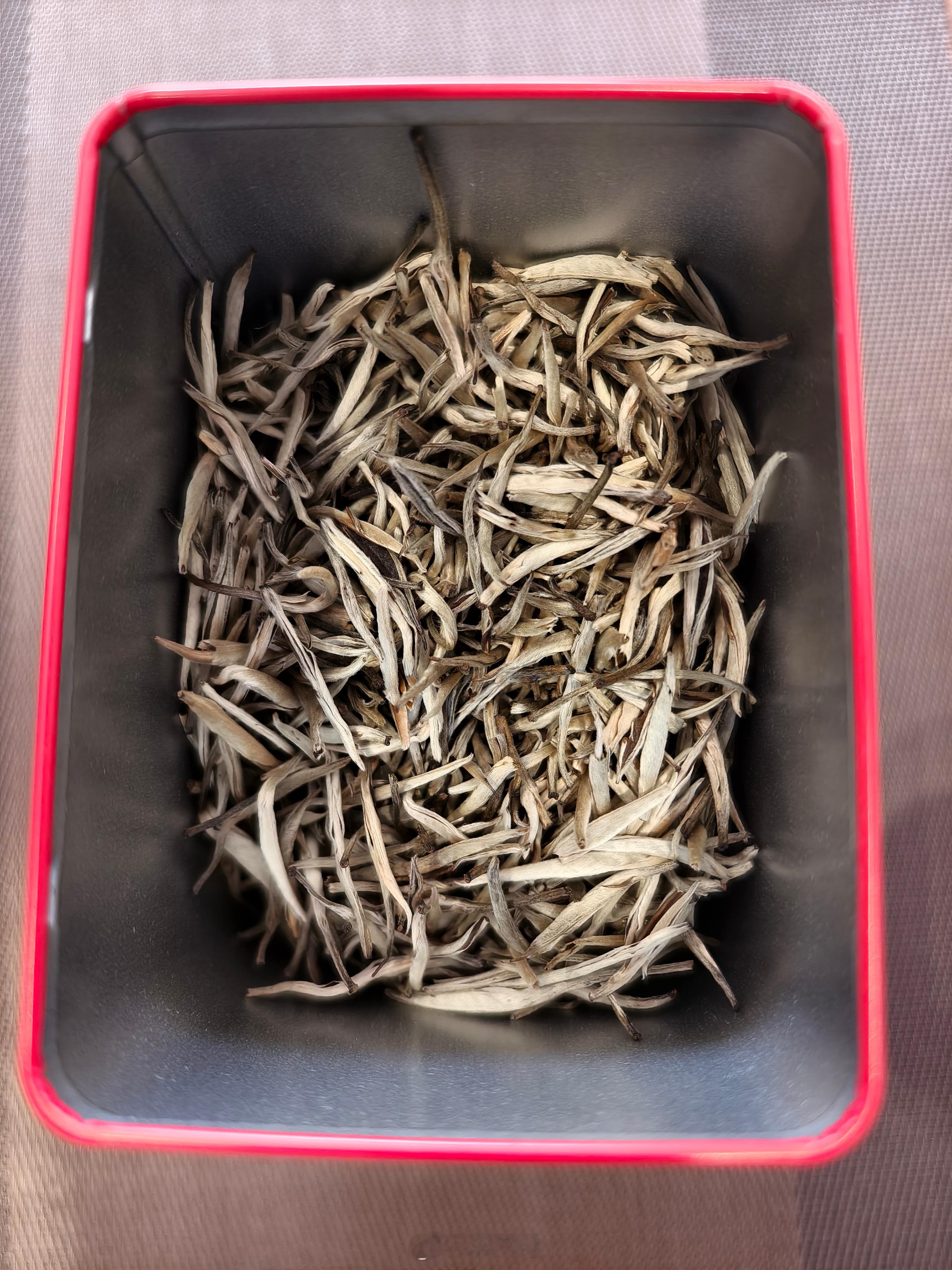 今天喝茉莉花 ！ 