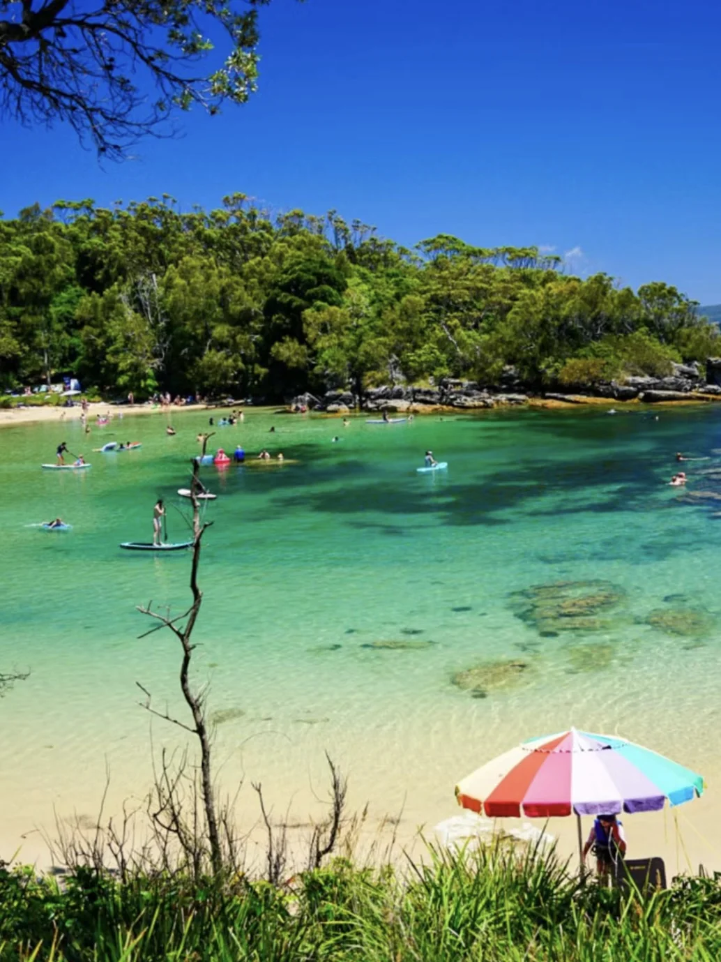 最美果冻海Jervis Bay🌊治愈系旅行天花板