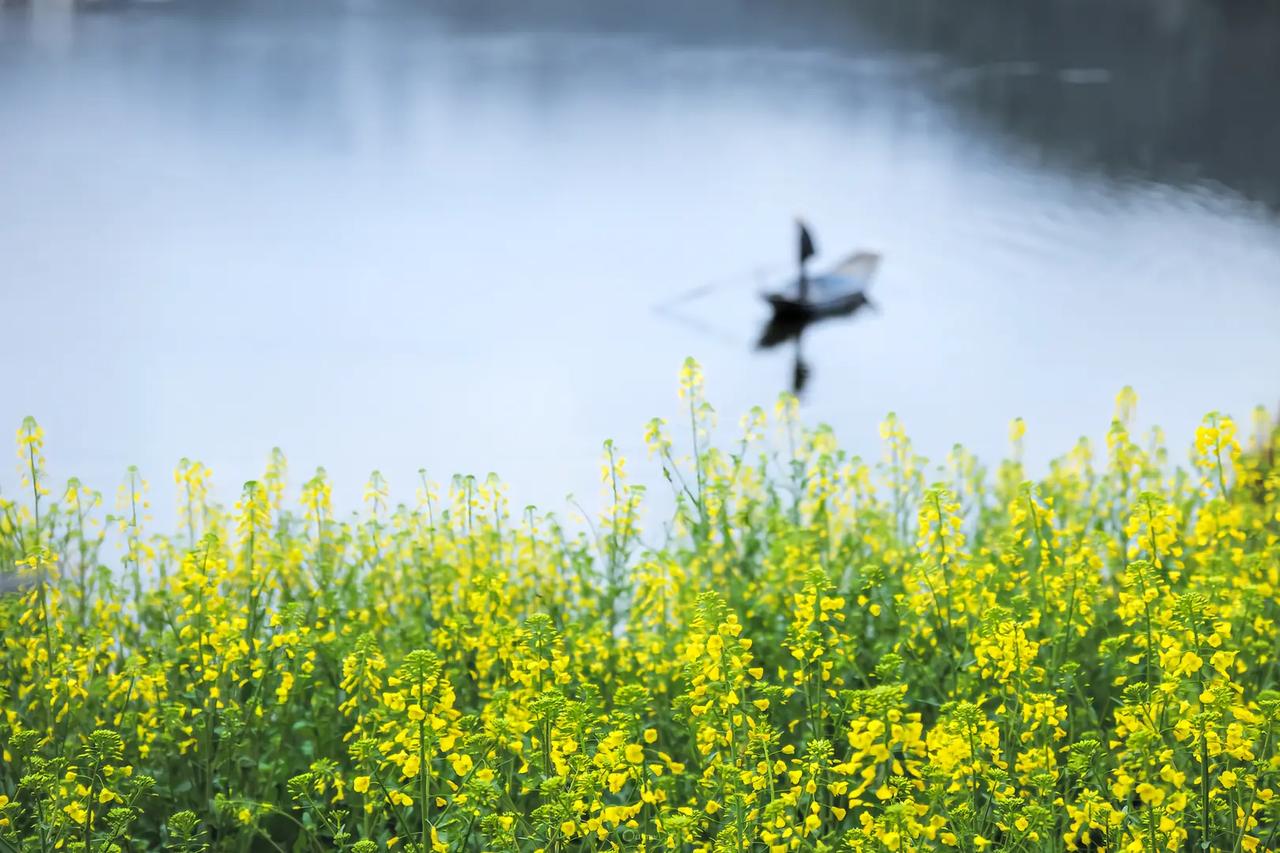 自家孩子小学阶段，家长亲自辅导尚可。但到了初中和高中，万不可亲自施教。我接触过诸