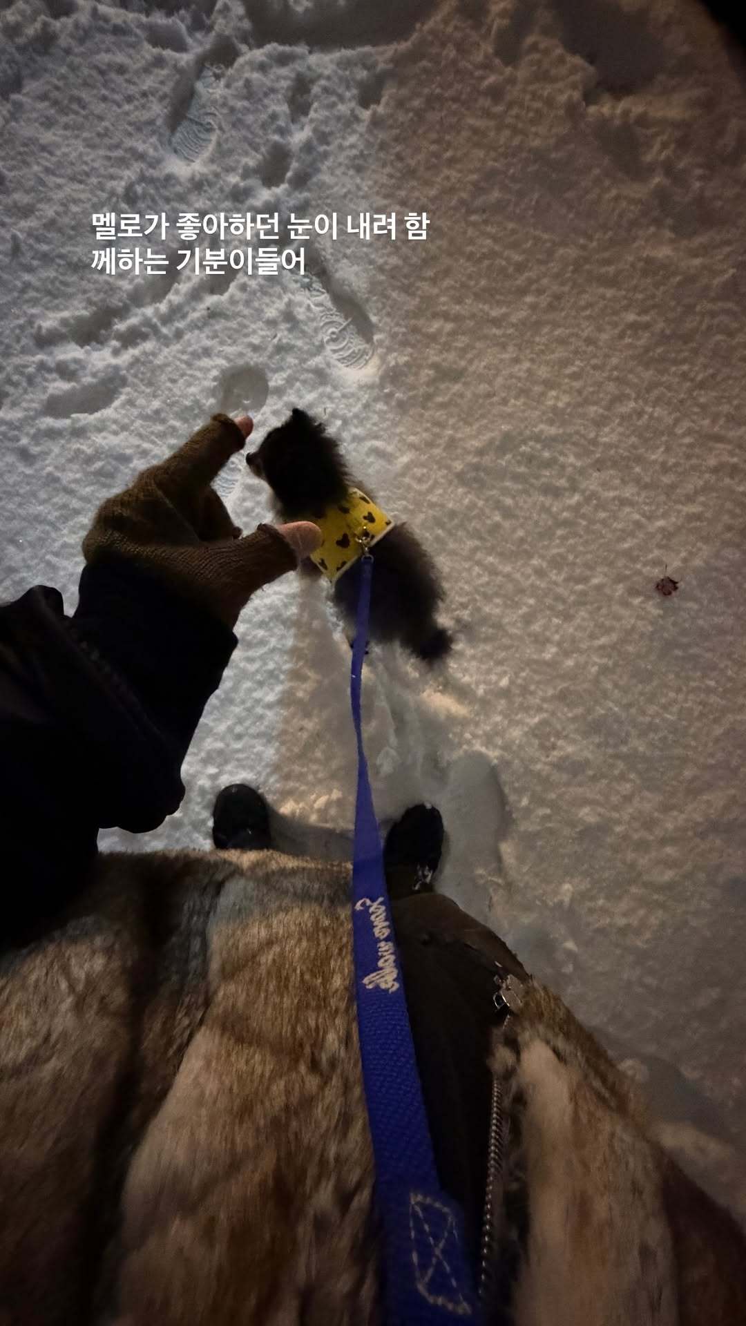 “CB百蓝_。251204金钟云 ins story更新：下起了Melo喜欢的雪