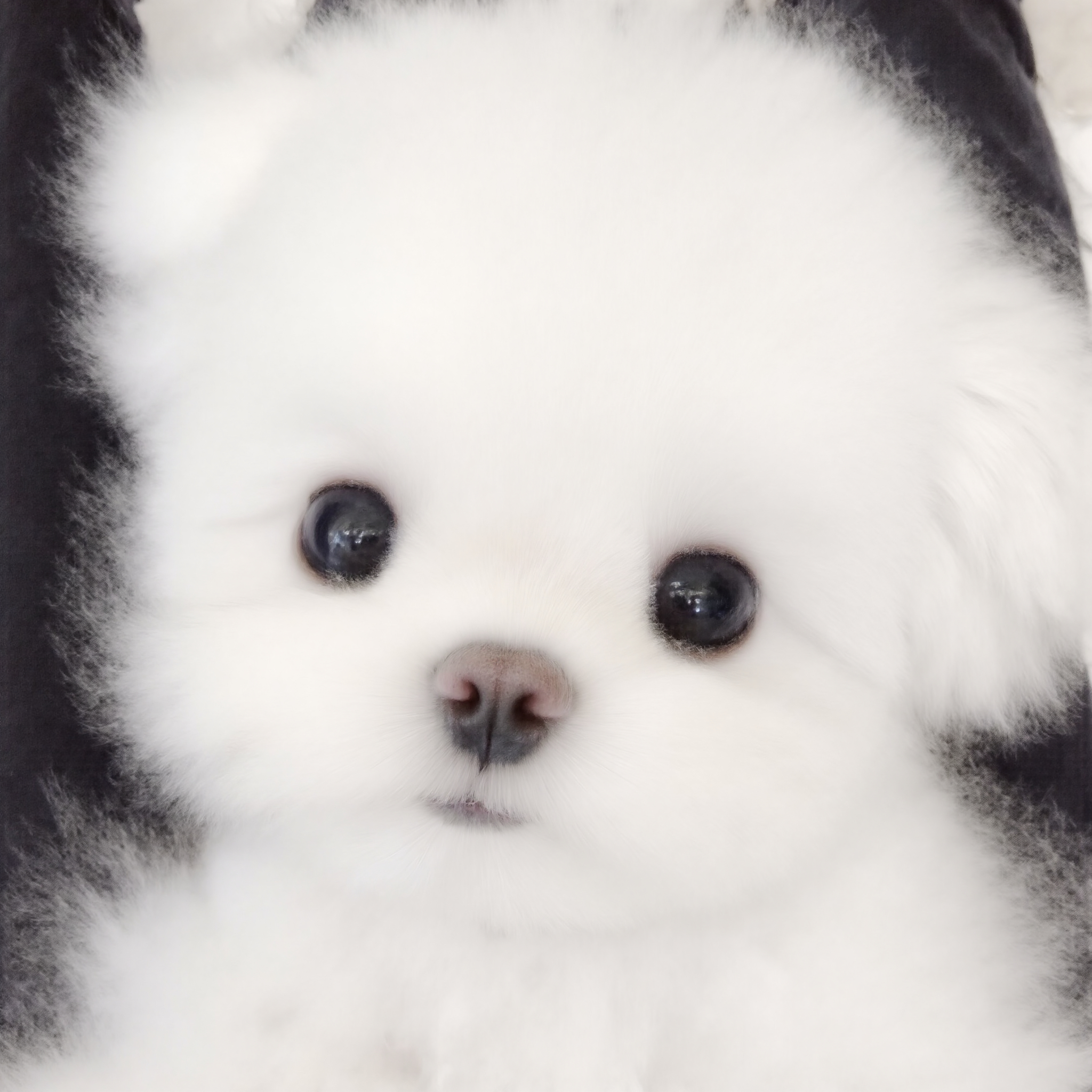 (◦•ω•◦)ノ♡ 