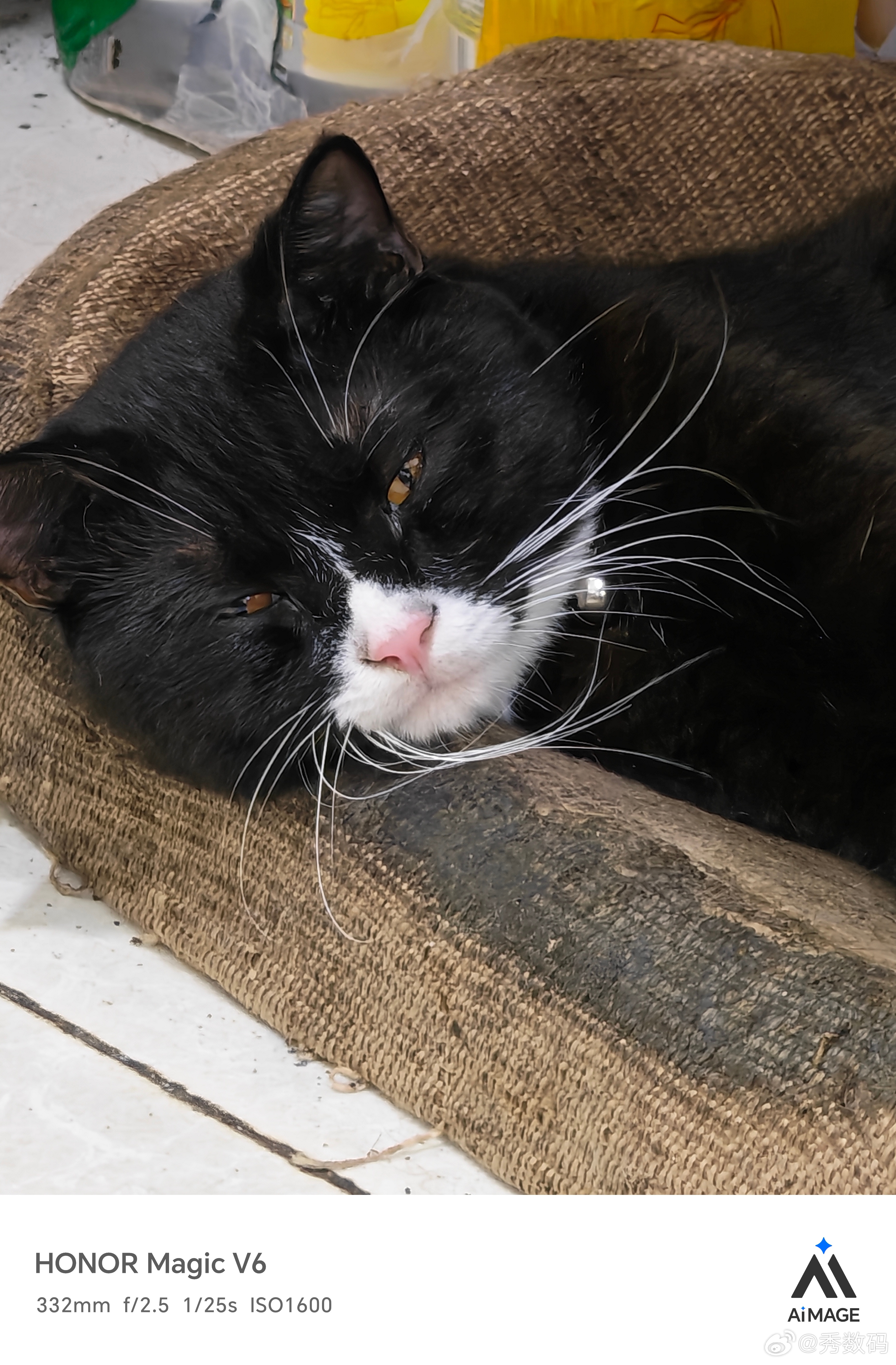 我在饭店遇到一只特别像黑猫警长的猫。 