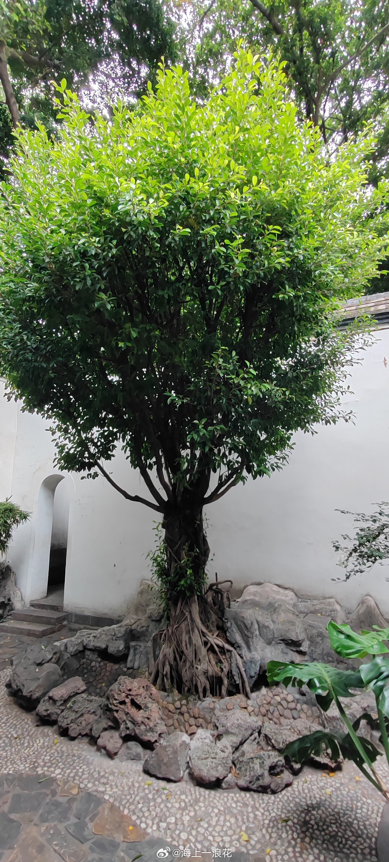 古语云：“己所不欲，勿施于人。”换位想一想，如果我们自己的心事被人拿来议论，心里