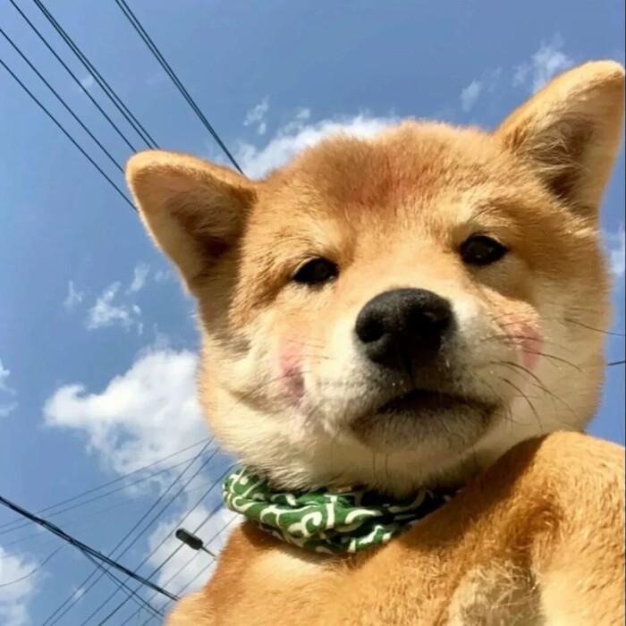 普通人改变命运的机会是什么?放下脸面