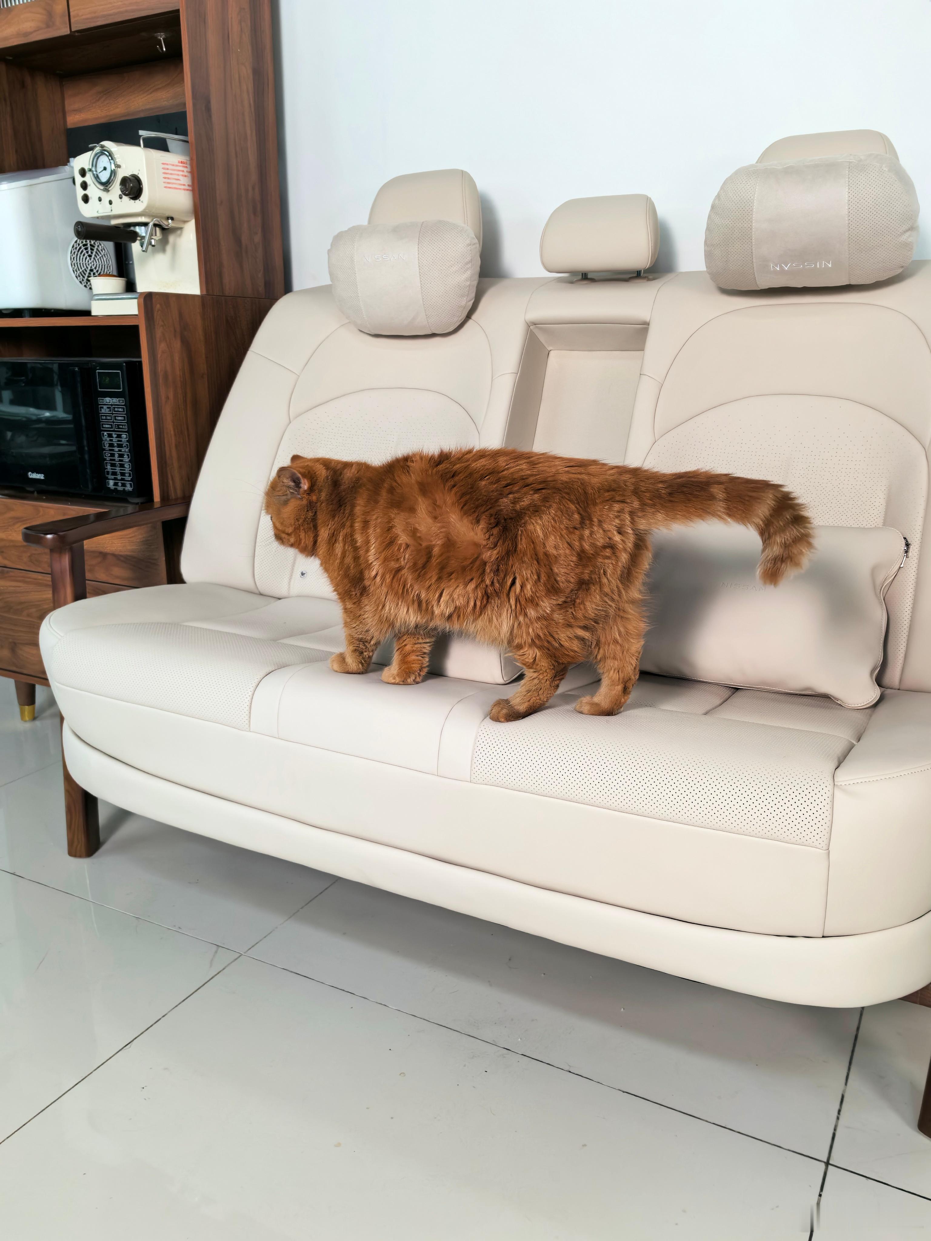 这是什么品牌的二排座椅？能看出来不？老舒服了。 