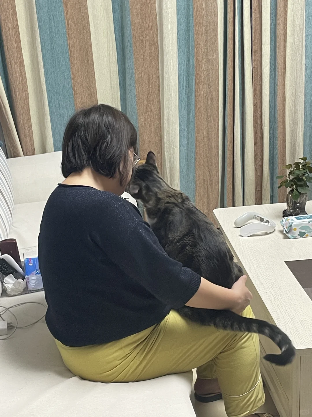 胖胖会不会以为我是我妈养的猫