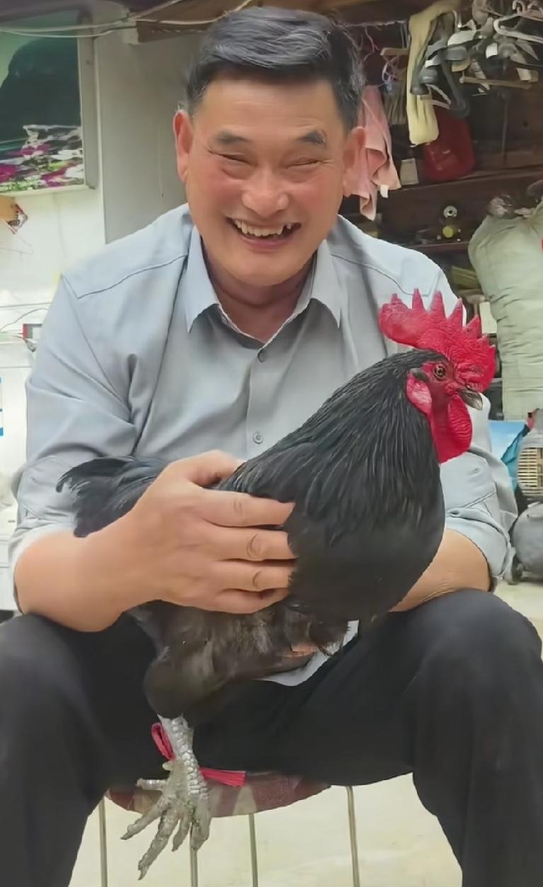大衣哥为什么喜欢养鸡？据大衣哥说，他母亲生他之前一两个小时梦见西南方飞过来一只大