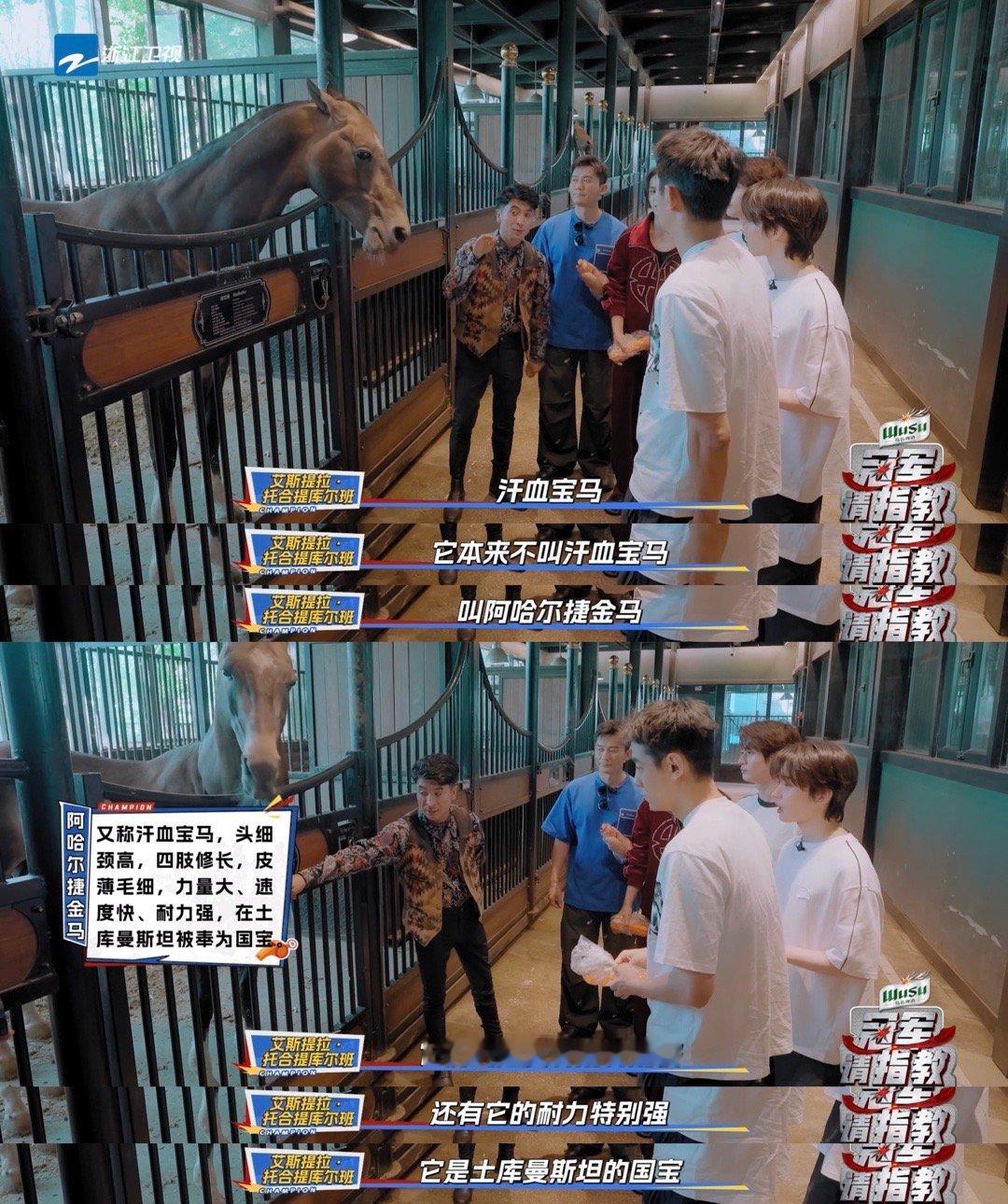 分享图片 ​​​