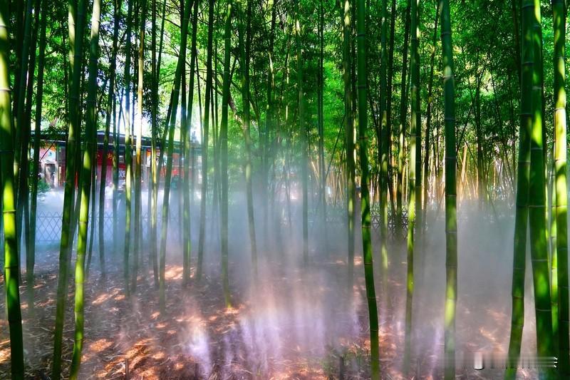 看到“竹影清风摇月色”这个上联，瞬间感觉意境好棒，竹影在清风中摇曳，连月色都跟着