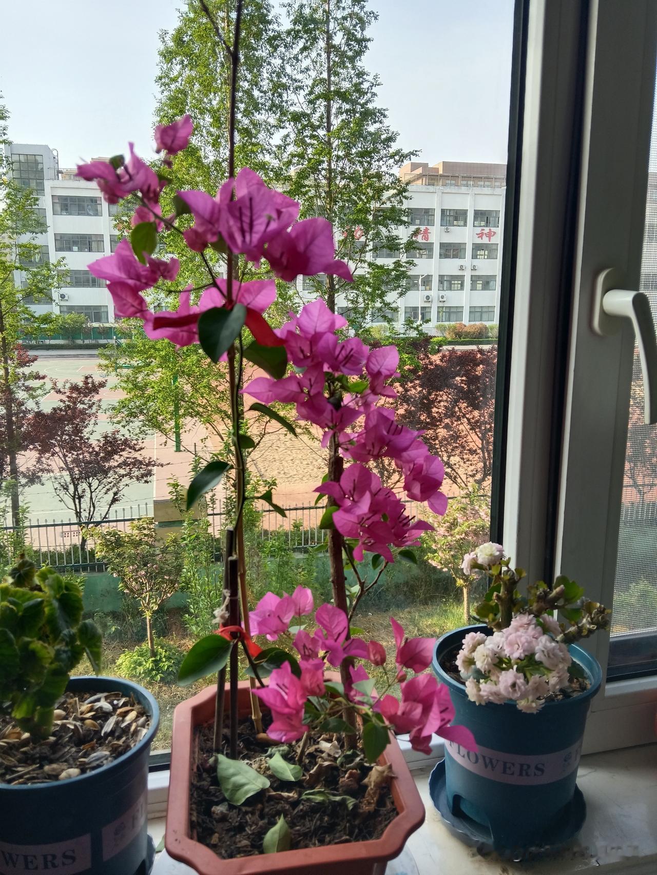 你的生肖暴露了你的命
属鸡---享福的命
属龙---多情的命
属兔---谨慎的命