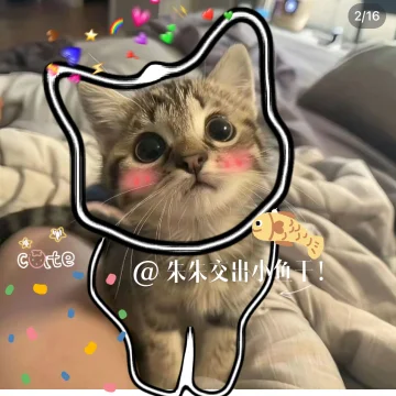 交出小鱼干
