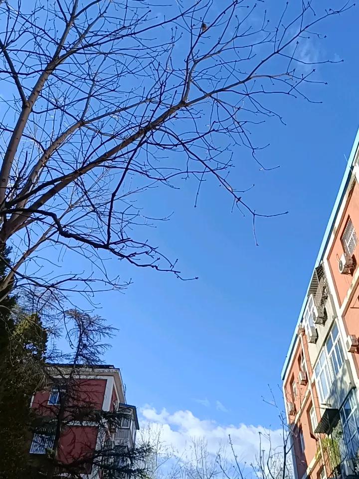 这个天气真是太反复无常了啊，一下子冷，一下又热，这穿衣服都是特别无语啊，真的是太
