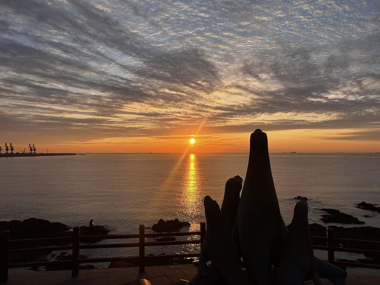 今儿早上的太阳，那叫一个美到犯规！我随手拍了张照片，就为了把这美景分享出来。
清