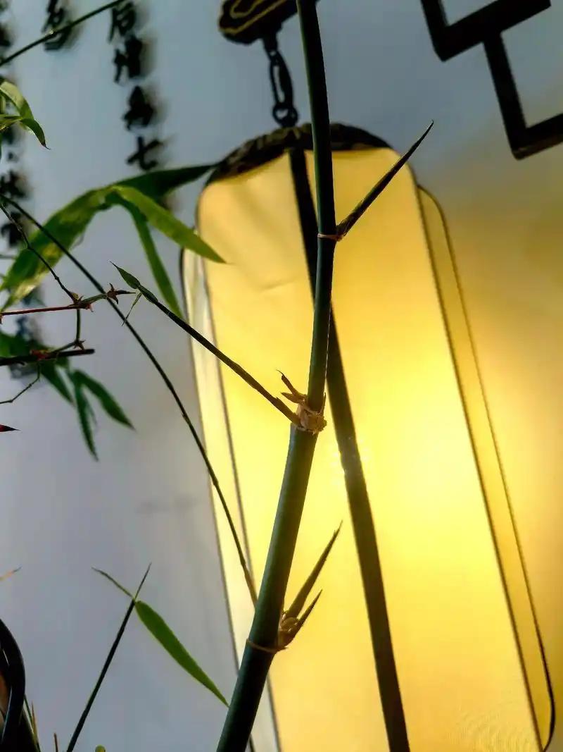 上联：婆娑竹影临书案，
下联：曼舞轻歌月满庭，
下联：婉转莺声绕画梁。