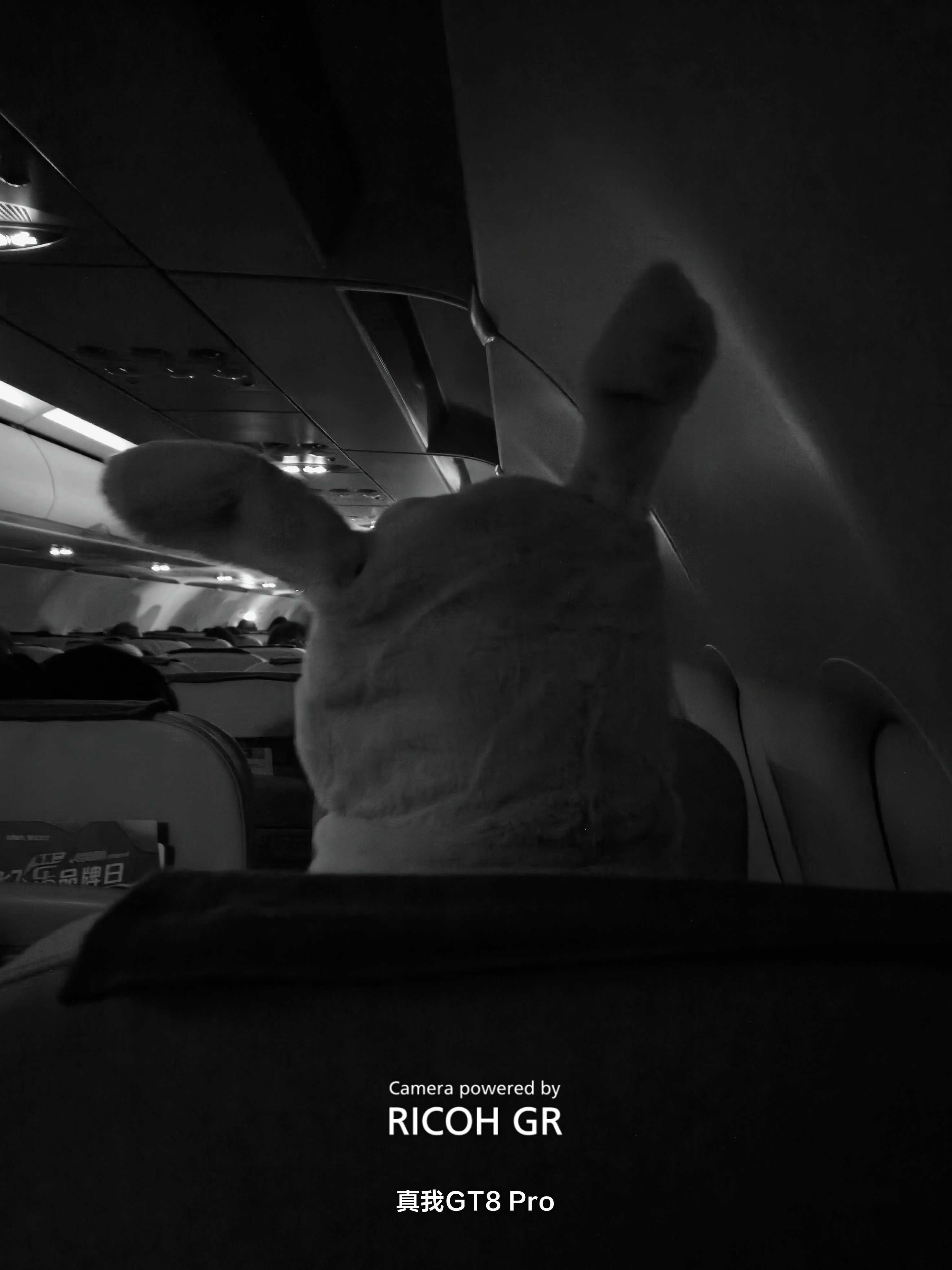 早上好ﾉ☀图片为某趟飞机上拍到的疑似活体皮卡丘 