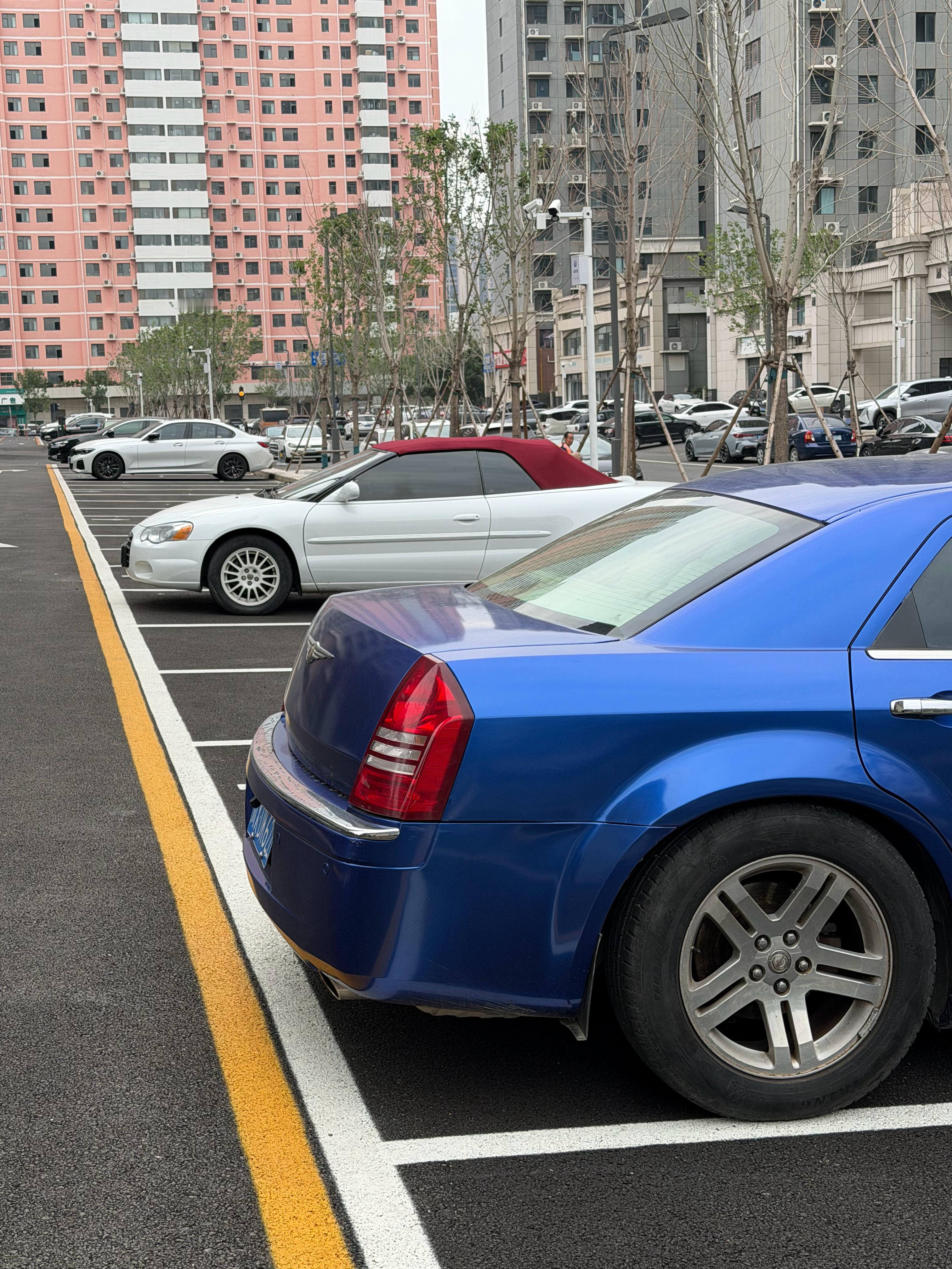 我怀疑，这两个车，车主是一个人  ​​​