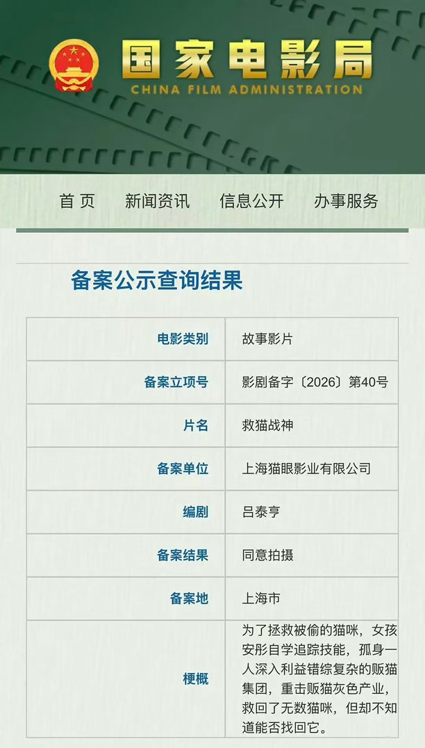 刘浩存、张新成主演的新电影《救猫战神》即将在泉州开机，你期待吗？ ​​​