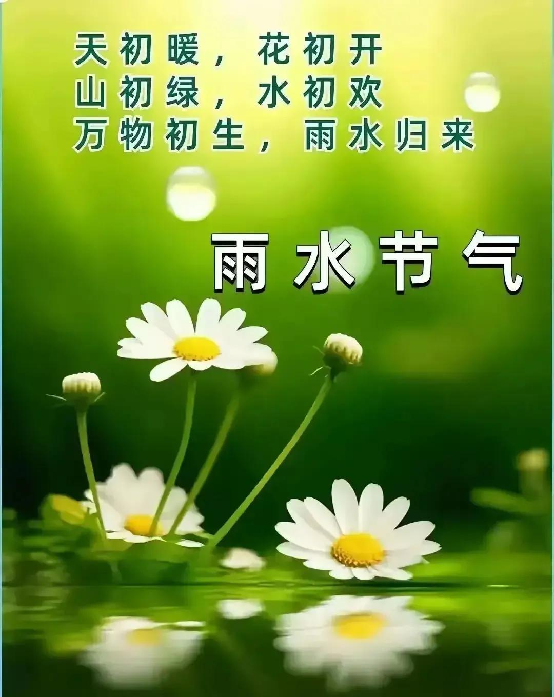 《玉楼春•雨水》
雨水时节天渐暖，
溪水微潺鸭畏寒。
獭捉鱼祭报春恩，
草木萌生