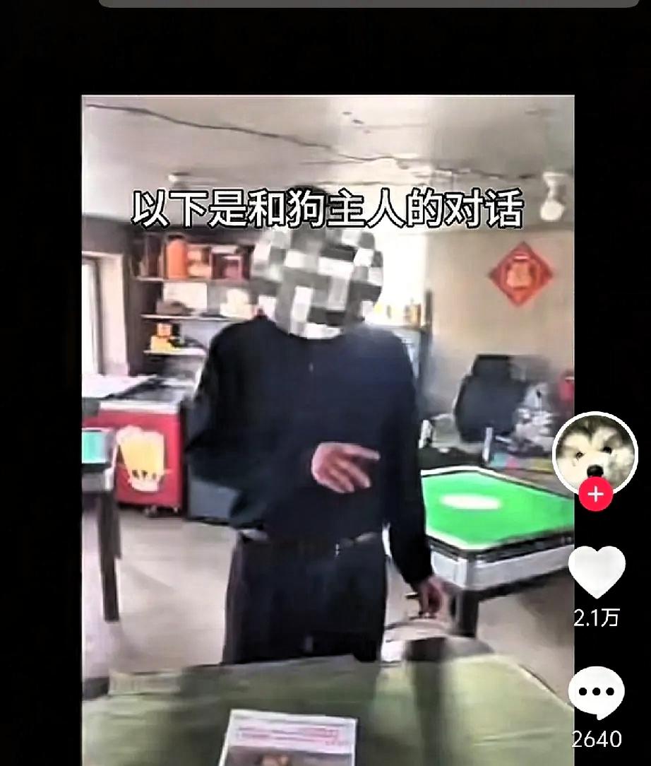 长春，长双公路出现的七只狗狗后续：经过志愿者的搜寻，确认狗狗已安全到家。
 
据
