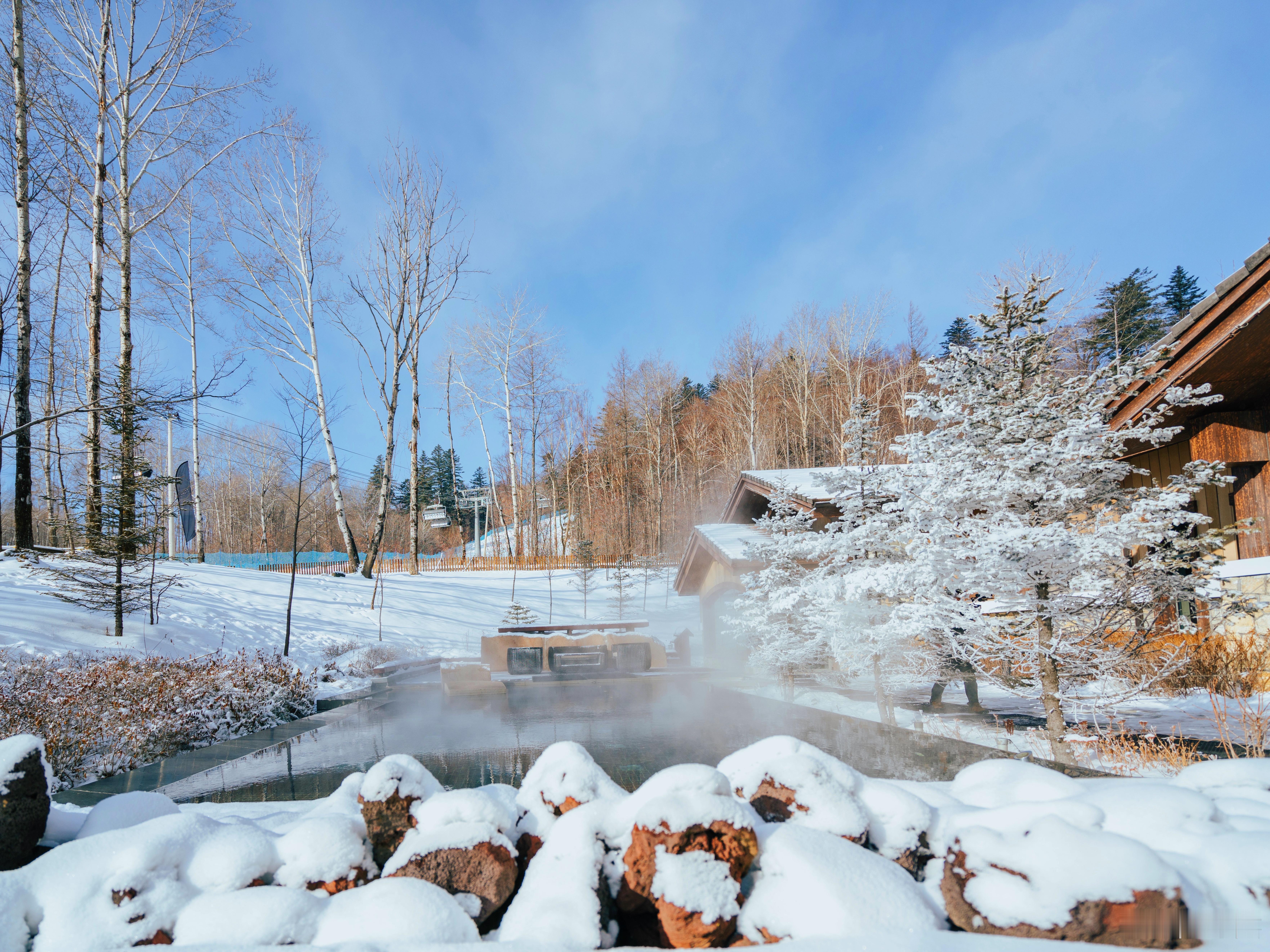 当冬日的雪花轻轻飘落，覆盖了大地，万物似乎都沉浸在一片宁静与祥和之中。然而，在这