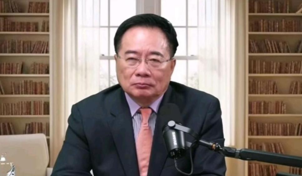 蔡正元在节目中说，当年伟人喊出中国人民从此站起来了这句话时，是不全面的，因为当时