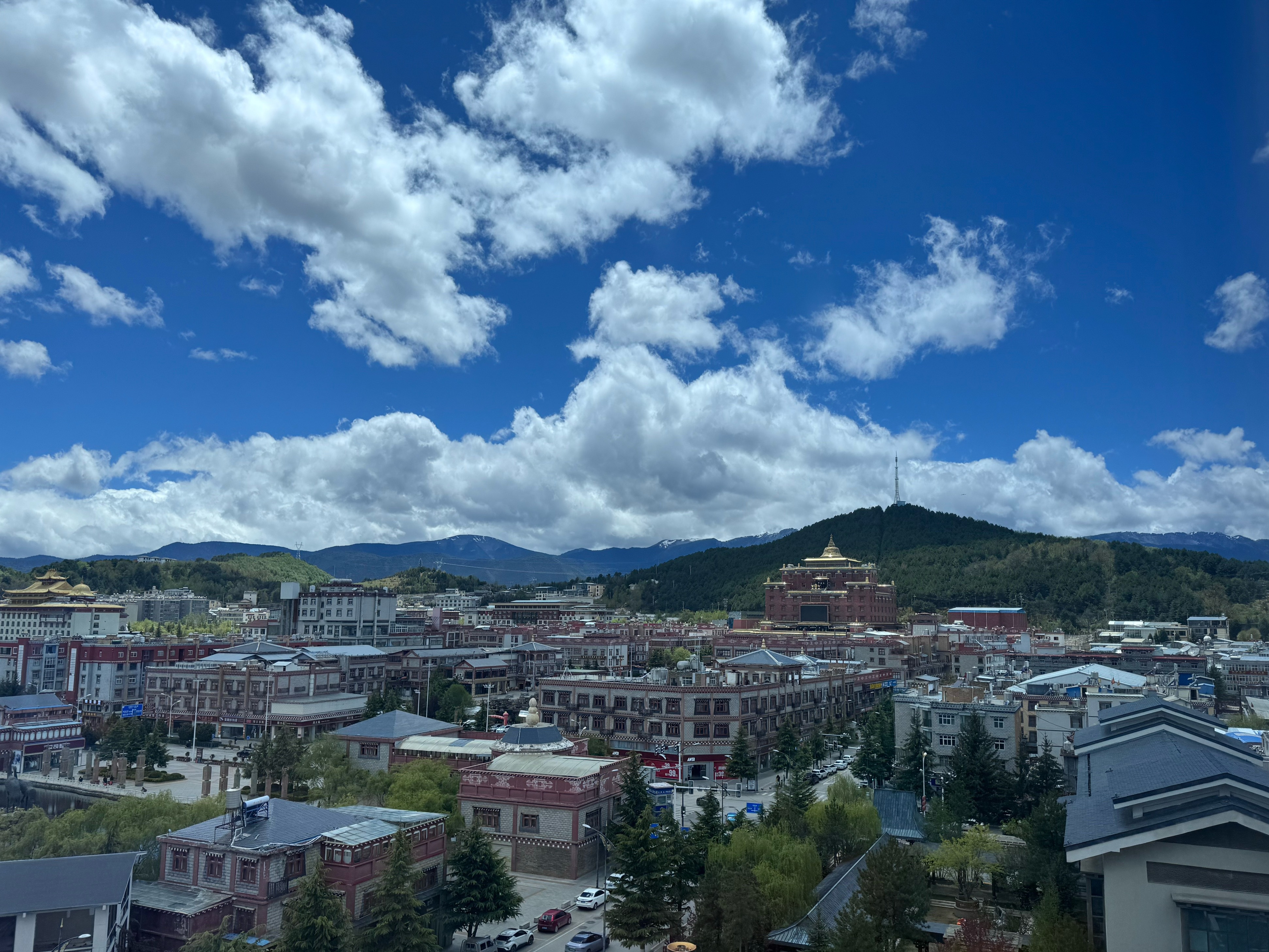 分享一个趣事今天来香格里拉参加活动出去以后要回酒店住的地方呢好巧不巧叫“香格里拉
