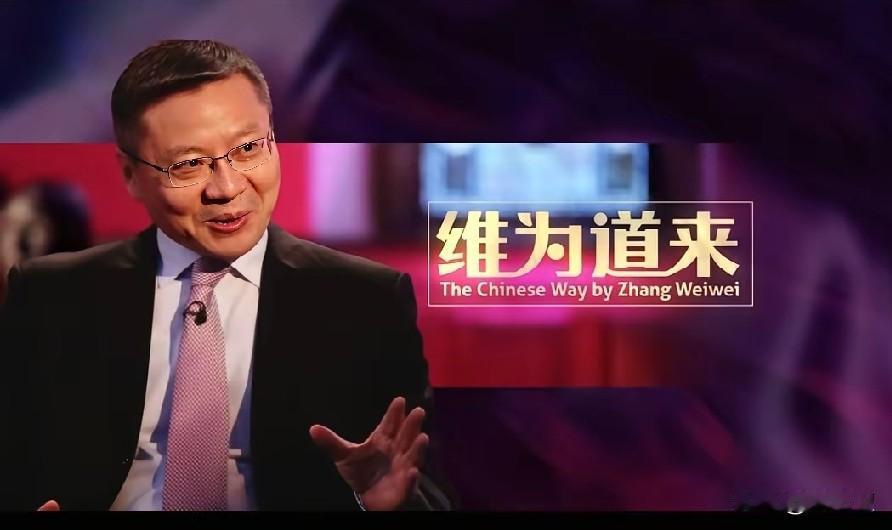 网友说这次应该让张维为去，给他们讲讲中国故事复旦张维为